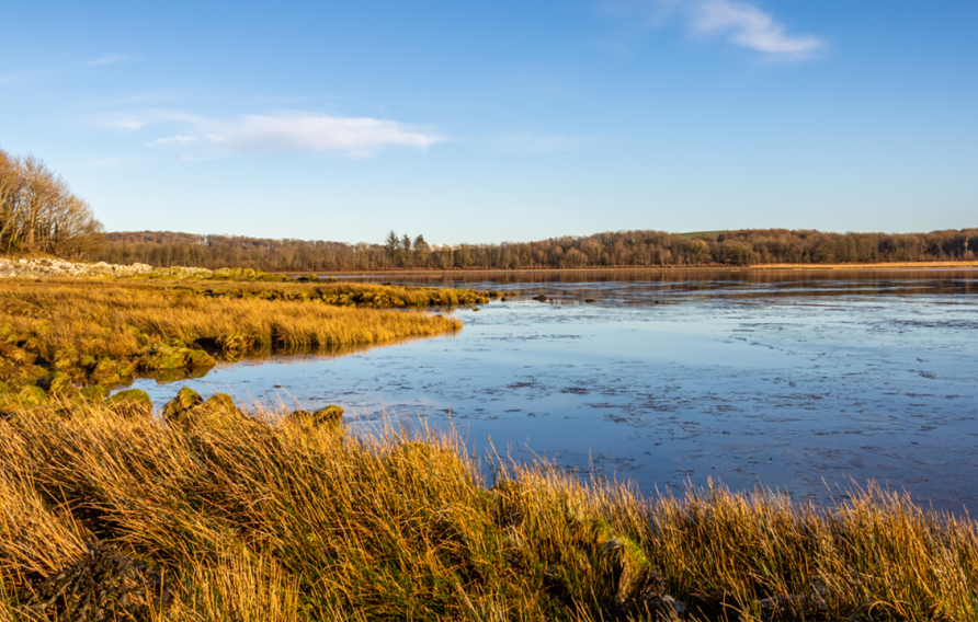 Saltmarsh Carbon Code